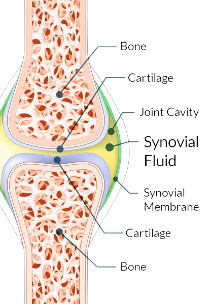 Joint Genesis benefits