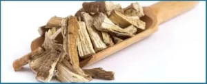 Marshmallow-Root1 (1)