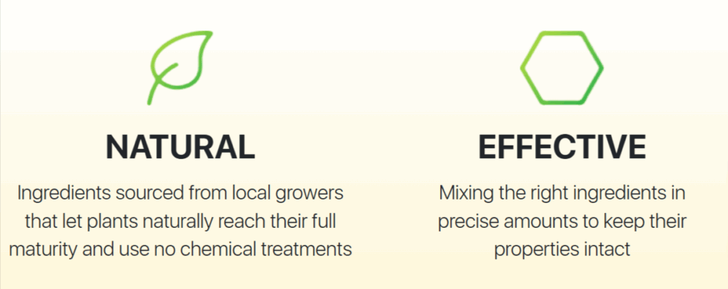 Synogut Benefits